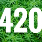What Does 420 Friendly Mean?